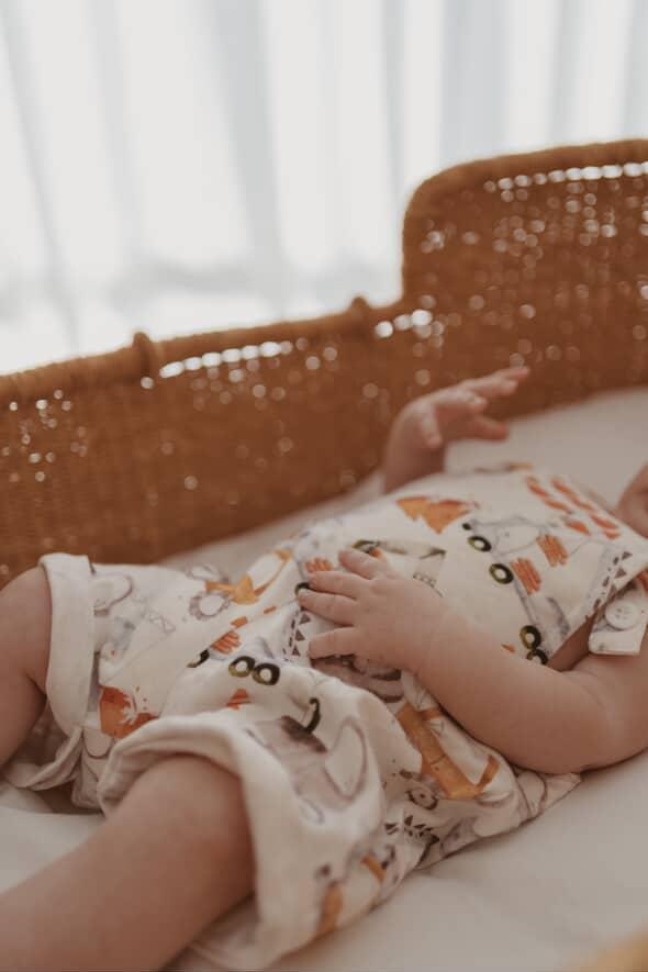 Hard working Dinos, Organic Baby Overall - Duper DuDu